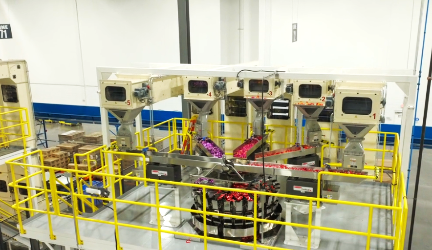 Manufacturing Factory